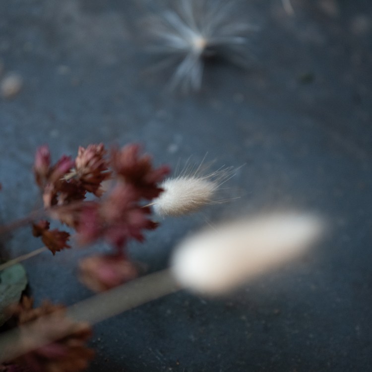 Cleeve Village Hall&nbsp;30/11/24