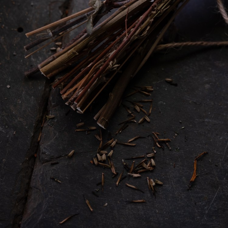 Rockbeare Village Hall&nbsp;14/12/24